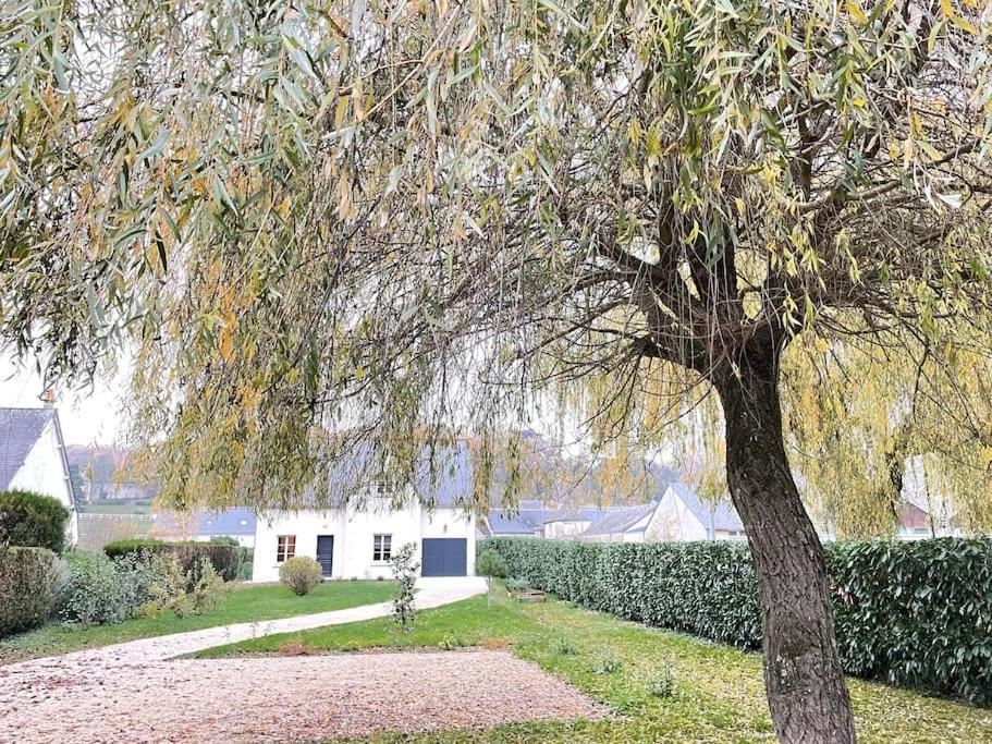 Havre De Paix Spa Proche Amboise & Chateaux De La Loire 诺伊扎 外观 照片